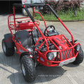 Chinesische Adult 300cc Gaspedal Go Kart